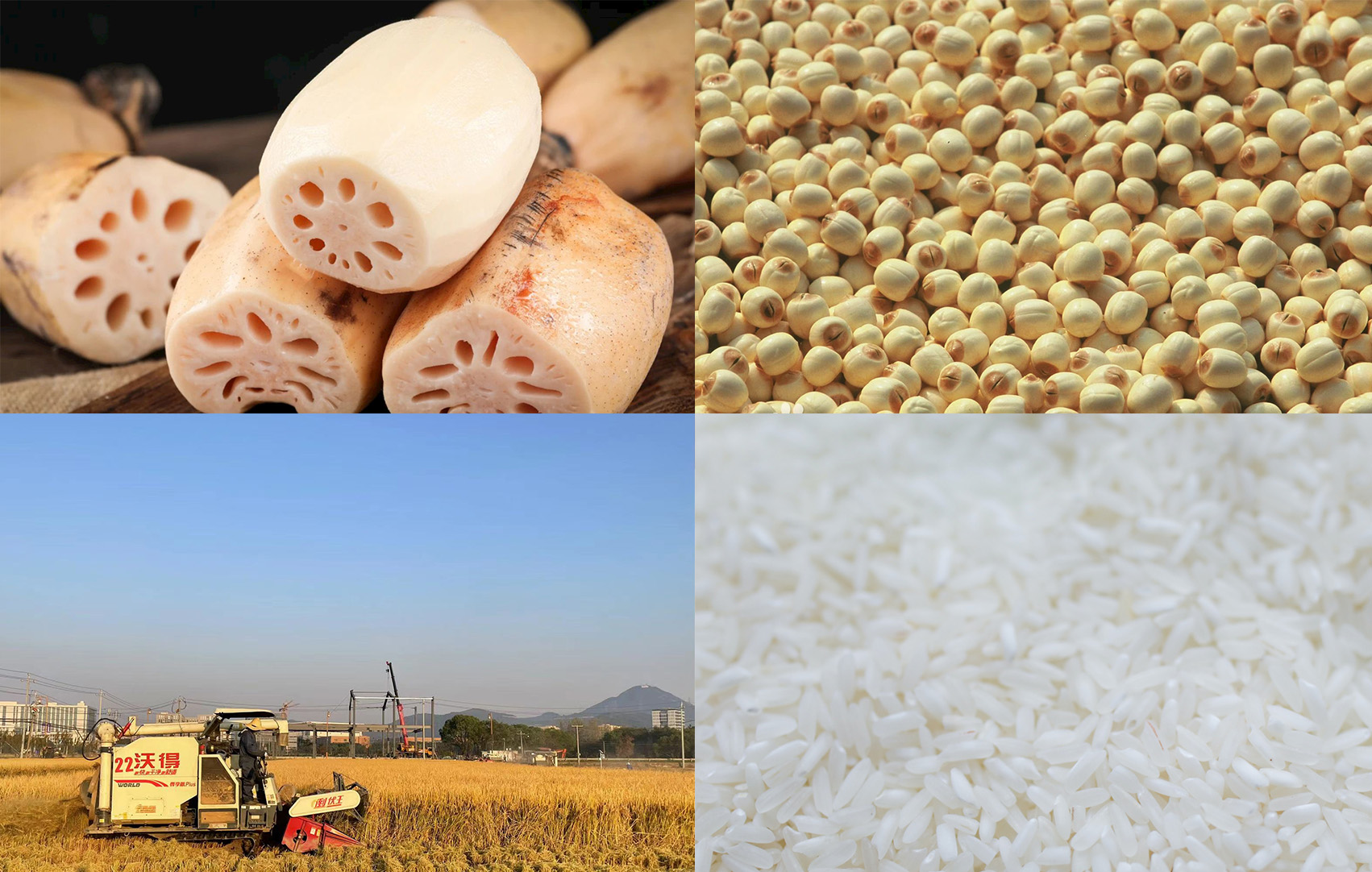 崇贤村农业产品图